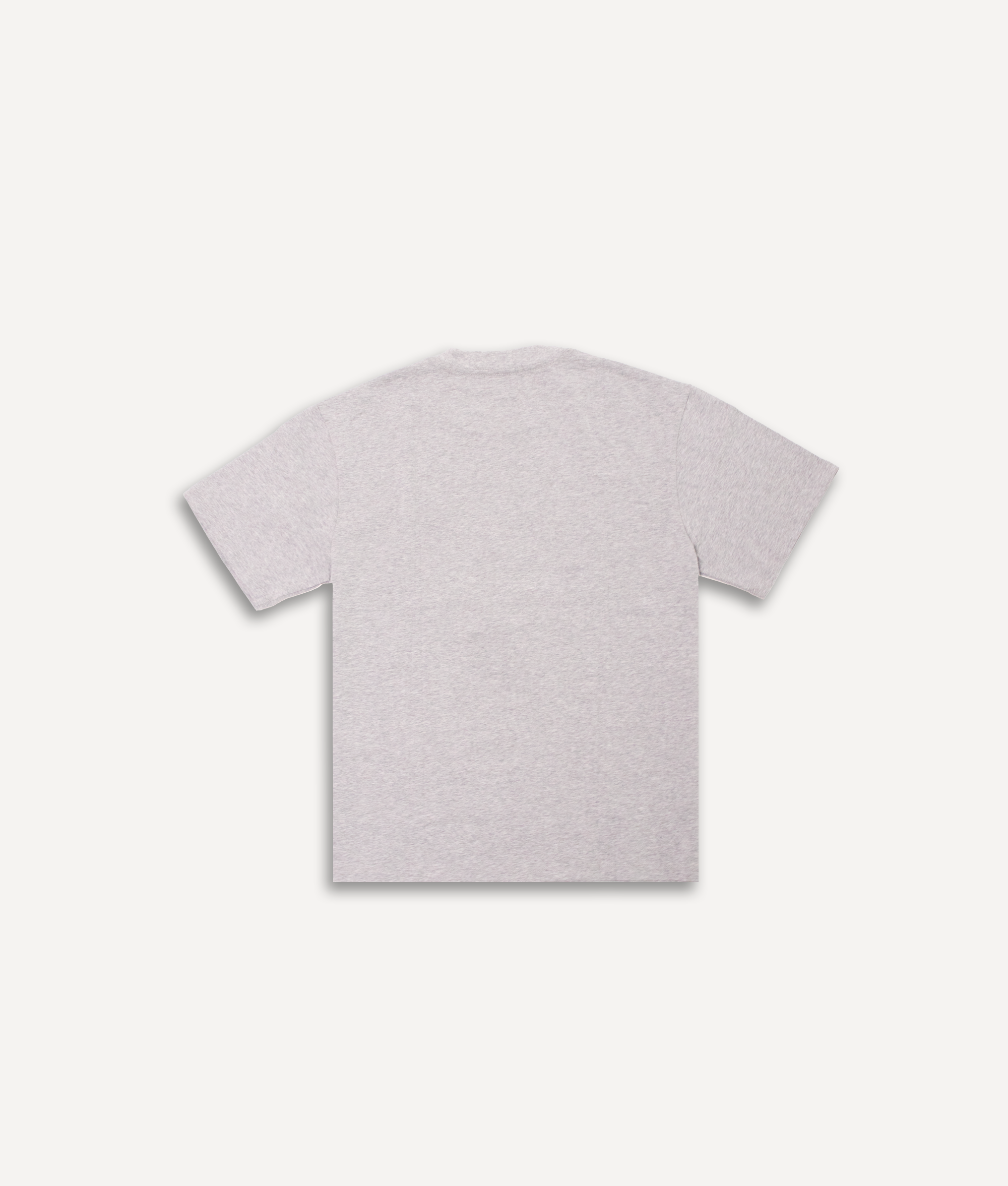 POKÉDOTS BASIC TEE